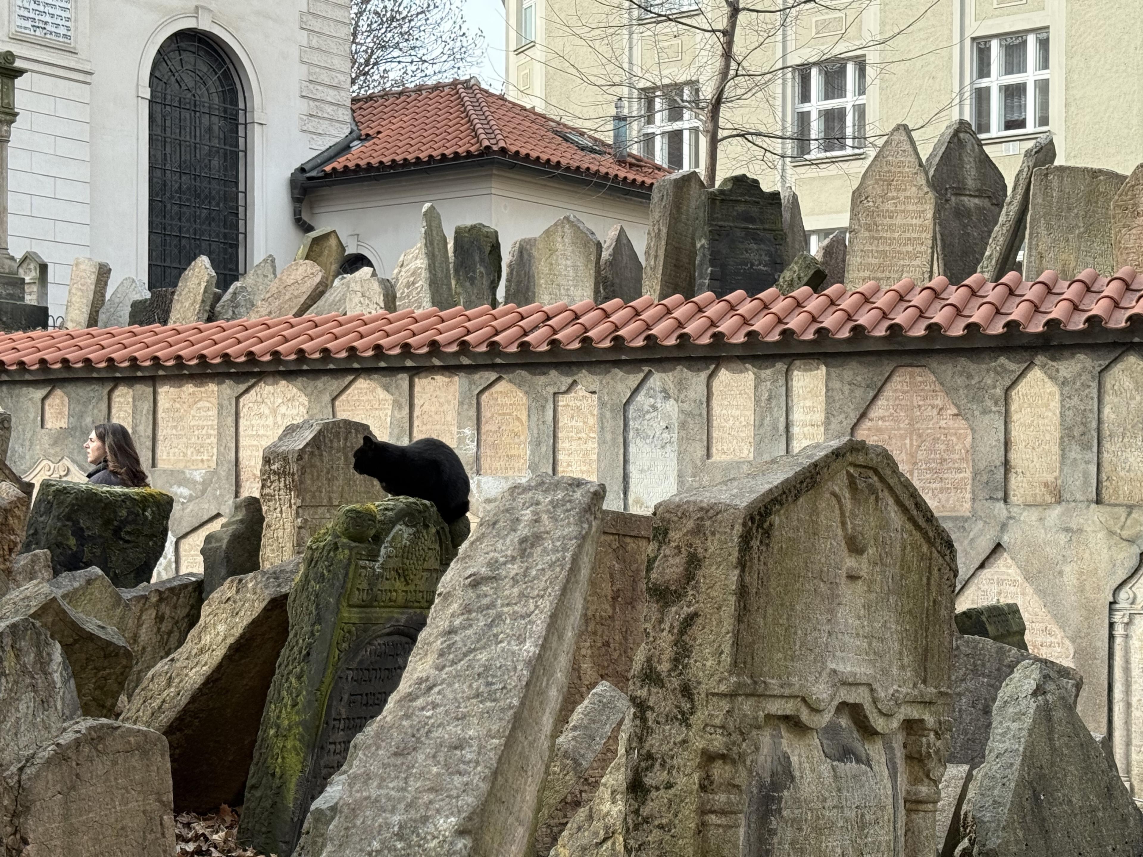 jagged rocks in a cemetery